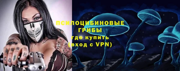 винт Аркадак