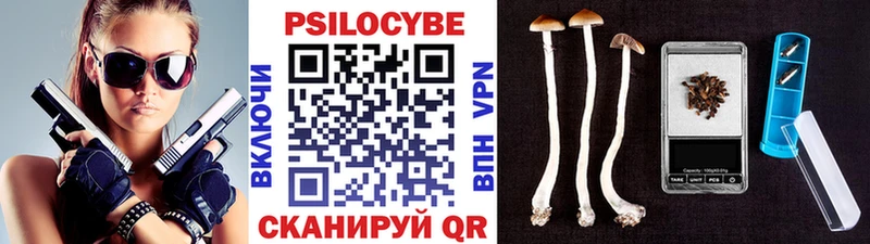 Галлюциногенные грибы мицелий  Купить  Шали 